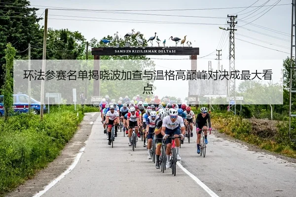 huan-fa-can-sai-ming-dan-jie-xiao-bo-jia-cha-yu-wen-ge-gao-dian-feng-dui-jue-cheng-zui-da-kan-dian-2-603.jpg