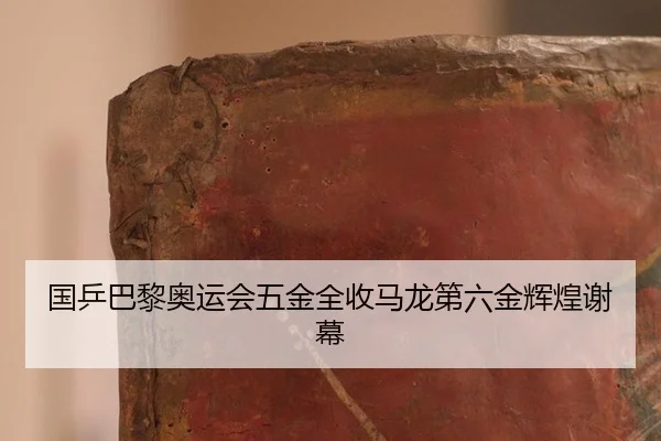 国乒巴黎奥运会五金全收马龙第六金辉煌谢幕 | yaxin